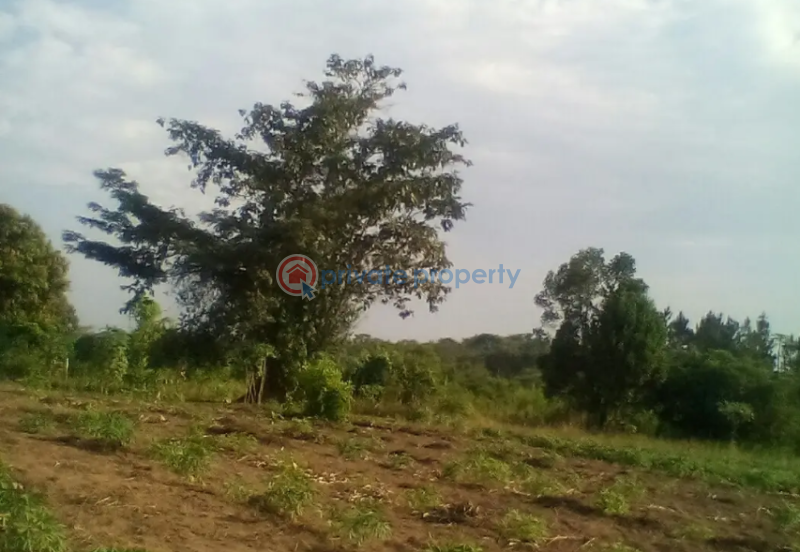 Land For Sale Luweero Central - 0
