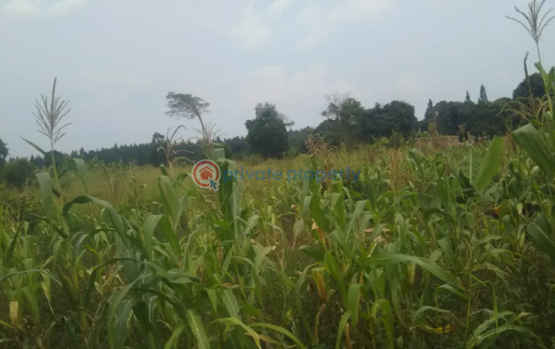 Land For Sale Luweero Central - 0