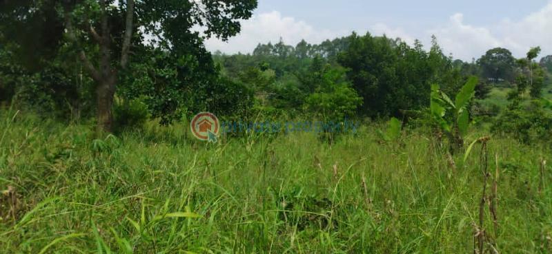 Land For Sale kabembe Mukono Central - 0