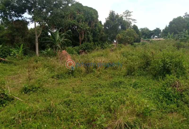 Land For Sale Kayunga Central - 0