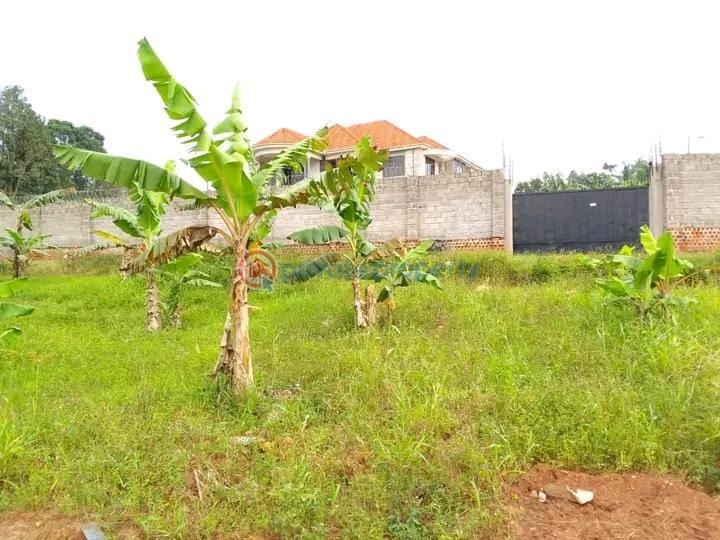 Land For Sale Kira Road Kira Wakiso Central - 0