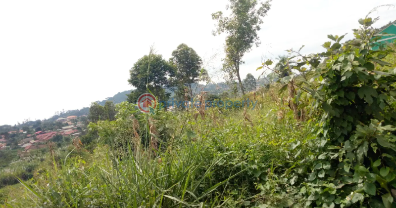 Land For Sale Mukono Central - 0