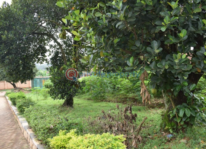 Land For Sale Bunga Rd, Kawuku Kampala Central  - 0
