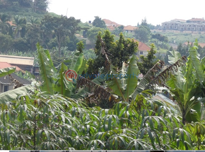 Land For Sale Lubowa Lubaga Kampala Central - 0