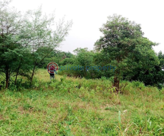 Land For Sale Buziga Kampala Central - 0