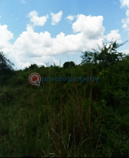 Land For Sale Luweero Central - 0