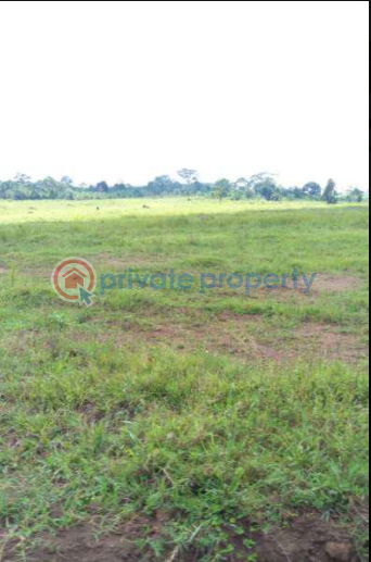 Land For Sale Mukono Central - 0