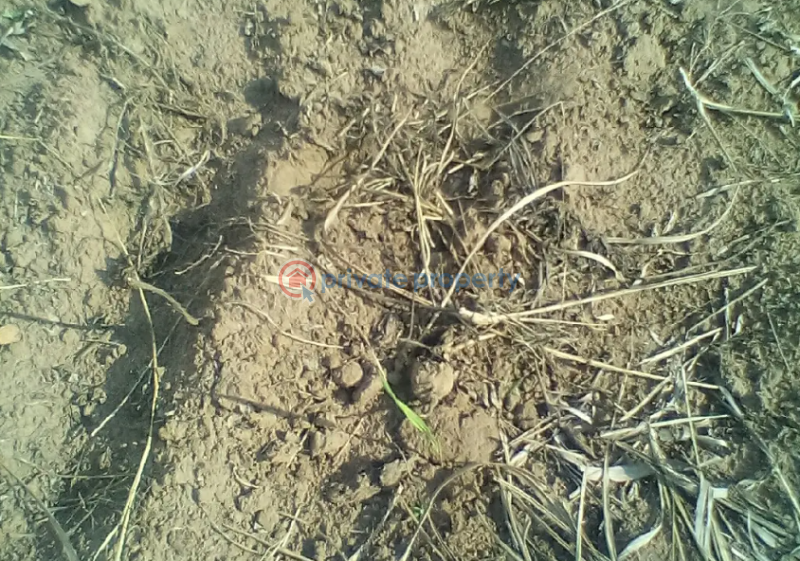 Land For Sale Luweero Central - 0