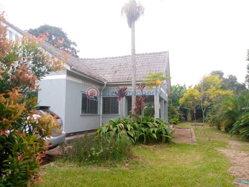 4 bedroom Villa For Sale Muyenga Kampala Central  - 0