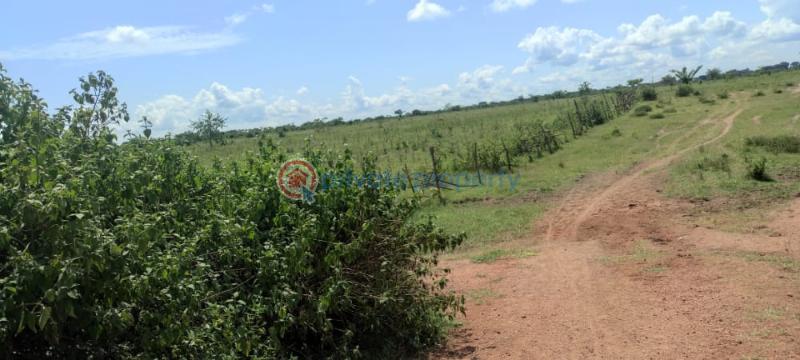 Land For Sale Mazi Luweero Central - 0