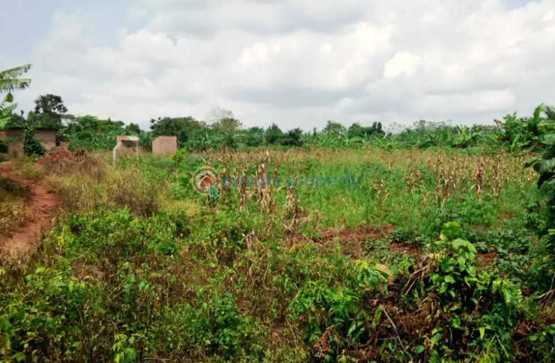 Land For Sale Mukono Central - 0