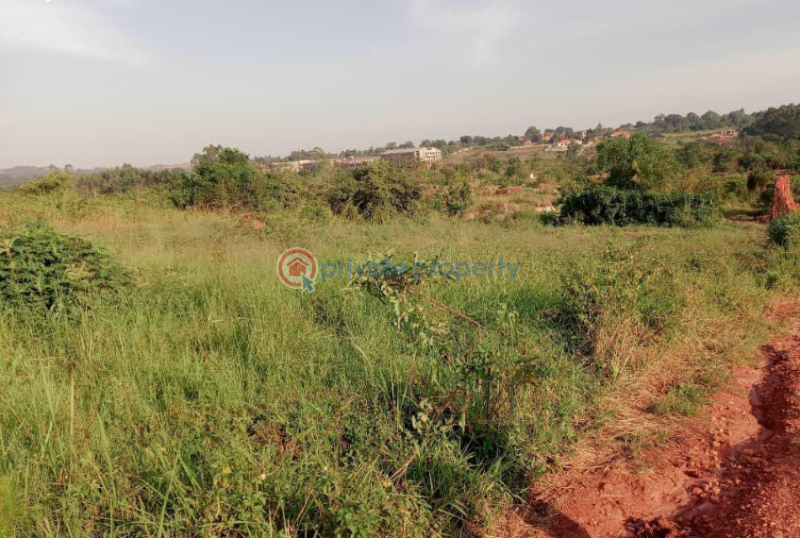 Land For Sale Wakiso Central - 0