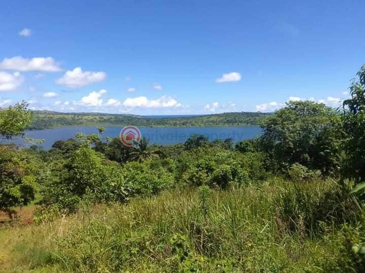 Land For Sale Buikwe Central - 0