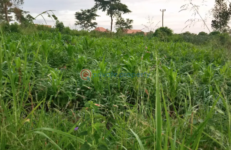Land For Sale Kampala Central - 0
