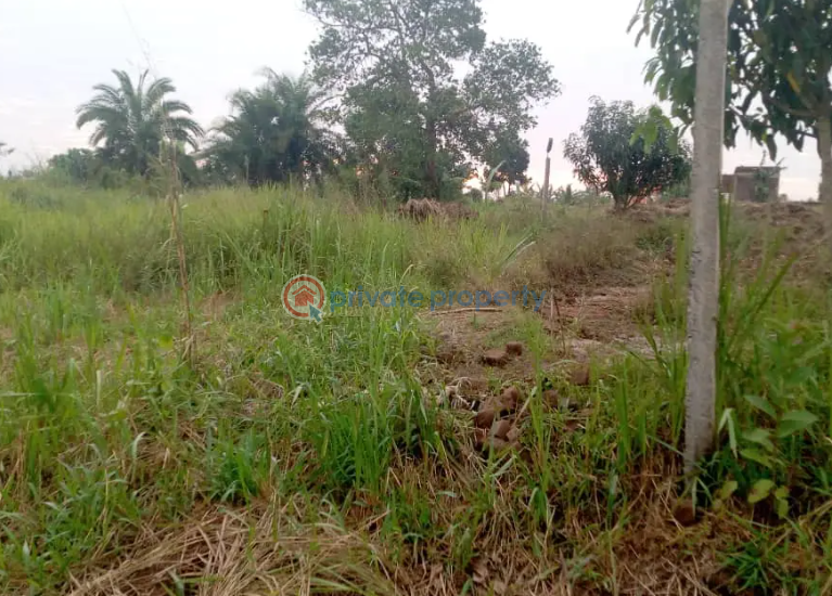 Land For Sale Luweero Central - 0