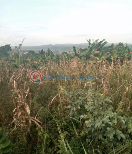 Land For Sale Luweero Central - 0