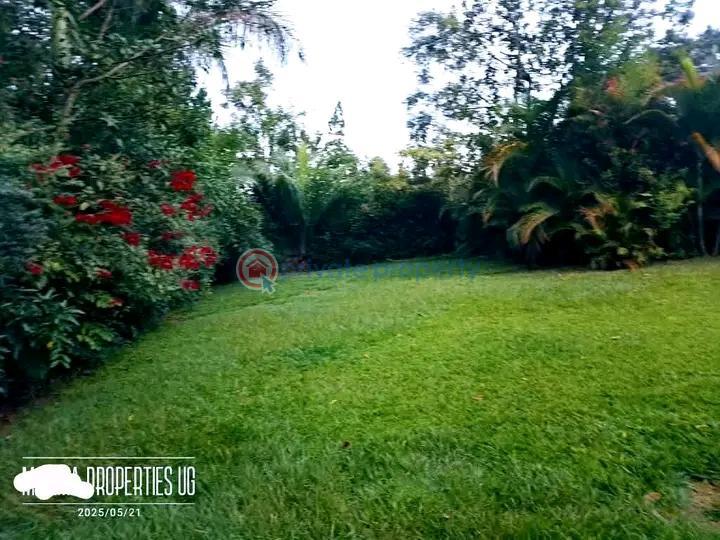 4 bedroom Bungalow For Sale Wakiso Nkoowe Wakiso Central - 0