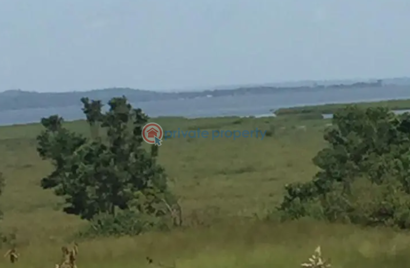 Land For Sale Kalangala Central - 0