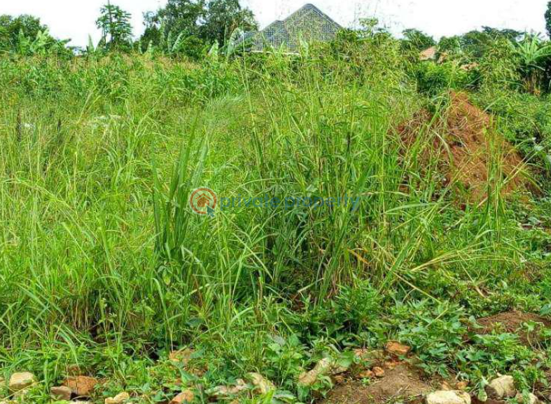 Land For Sale Wakiso Central - 0