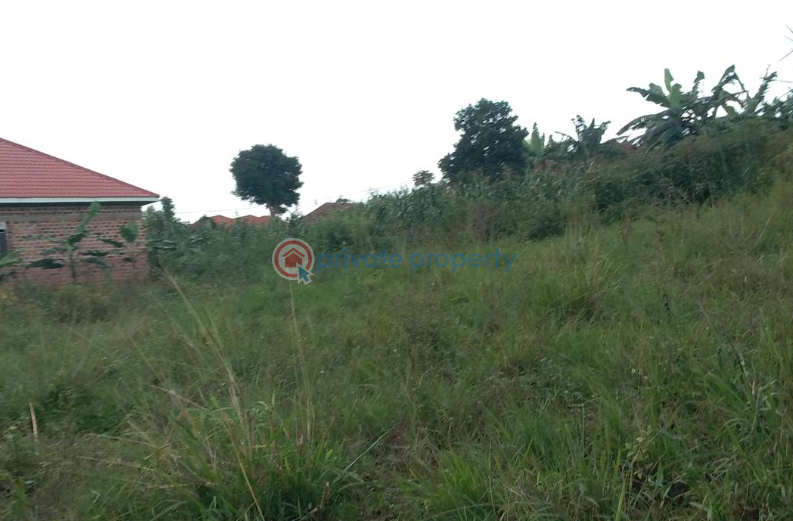 Land For Sale Mukono Central - 0