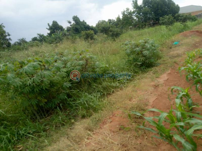 Land For Sale Mulawa Kira Wakiso Central - 0