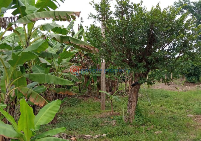 Land For Sale Luweero Central - 0