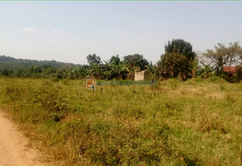 Land For Sale Wakiso Central - 0