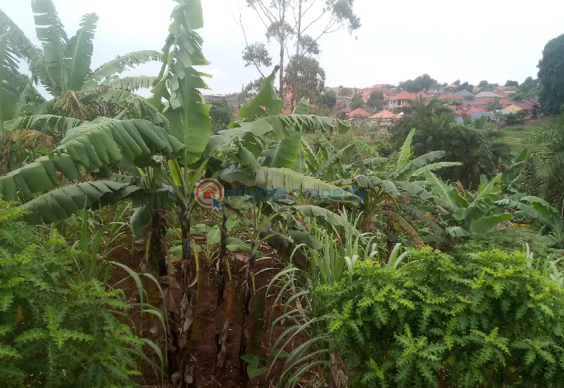 Land For Sale Kampala Central - 0