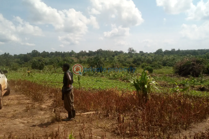 Land For Sale Kampala Central - 0