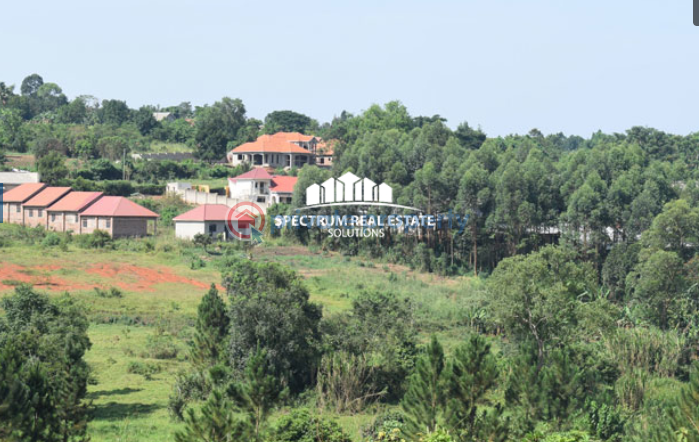Land For Sale Kaluvule Kampala Central - 0