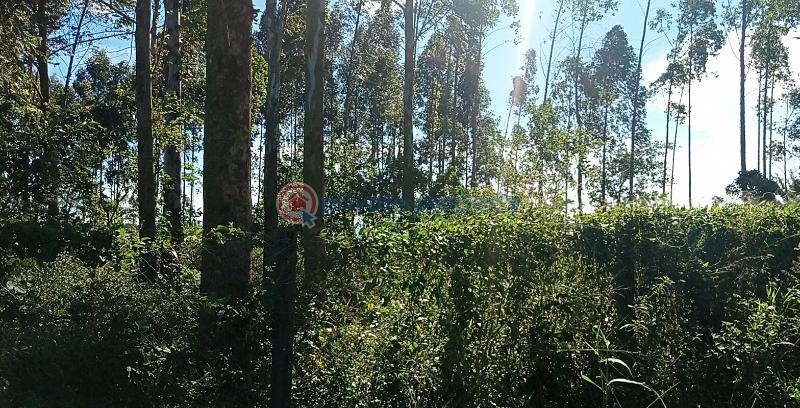 Land For Sale Namanve Mukono Central - 0