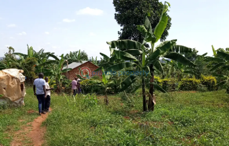 Land For Sale Kampala Central - 0