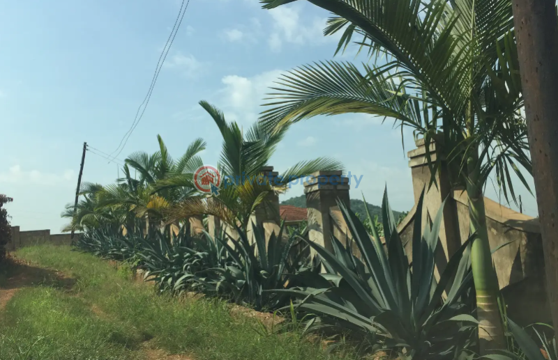 Land For Sale Kampala Central - 0