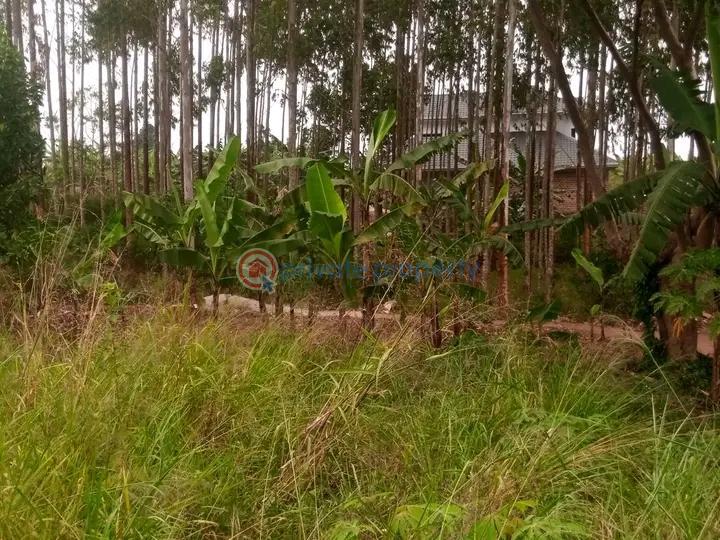 Land For Sale Mutuga Gayaza Wakiso Central - 0