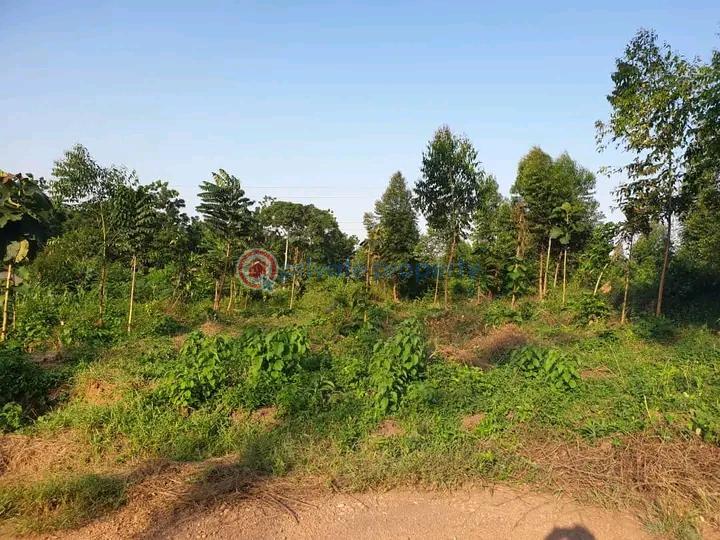 Land For Sale Matugga Kampala Central  - 0