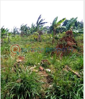 Land For Sale Namugongo Kampala Central - 0