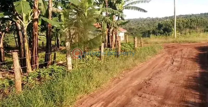 Land For Sale Wakiso Central - 0