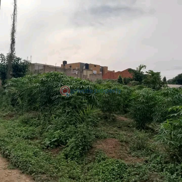 Land For Sale Nabsugwe Estate Wakiso Central - 0
