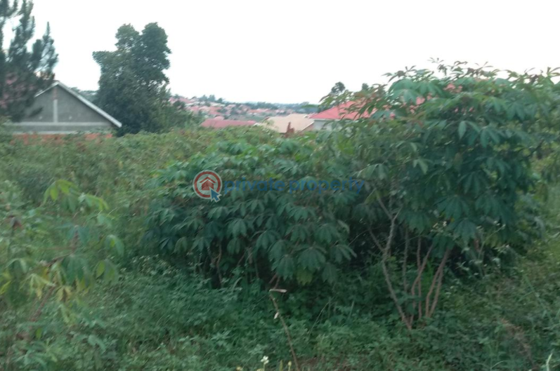 Land For Sale Mukono Central - 0
